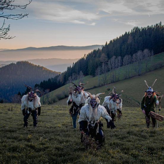 Bild enthält, Person, Adult, Female, Woman, People, Sheep, Nature, Outdoors, Cow, Shoe