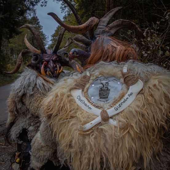 Bild enthält, Clothing, Costume, Person, Animal, Antelope, Mammal, Wildlife, Antler