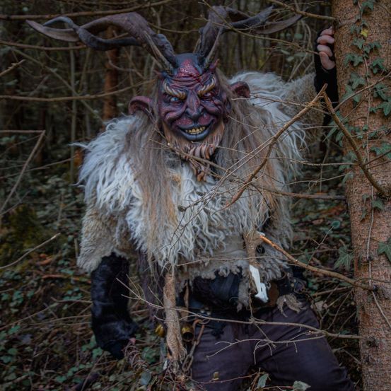 Bild enthält, Adult, Female, Person, Woman, Plant, Tree, Antler, Vegetation, Wood, Woodland