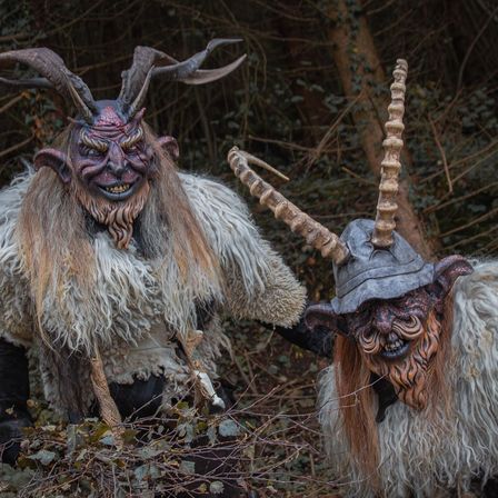 Bild enthält, Livestock, Mammal, Sheep, Clothing, Costume, Person, Antler, Wood, Dog, Pet