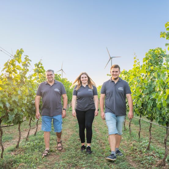 Bild enthält, Nature, Outdoors, Countryside, Rural, Farm, Vineyard, Adult, Male, Man, Person
