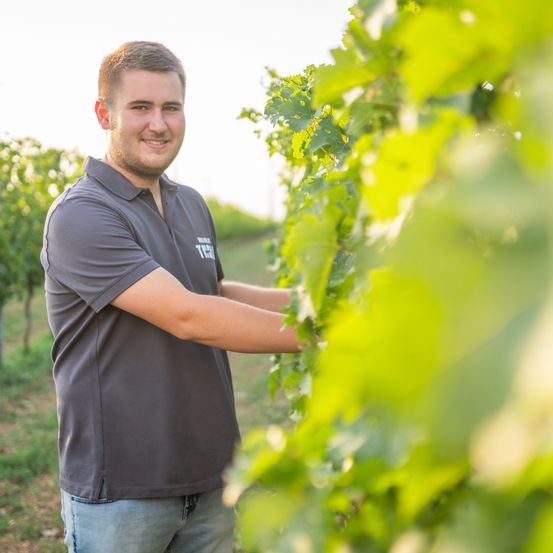 Bild enthält, Nature, Outdoors, Countryside, Rural, Farm, Adult, Male, Man, Person, Vineyard