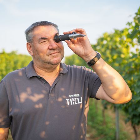 Bild enthält, Nature, Outdoors, Countryside, Rural, Adult, Male, Man, Person, Farm, Vineyard