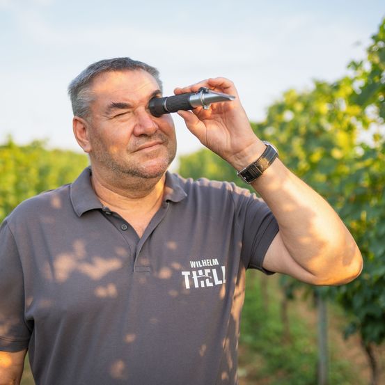 Bild enthält, Nature, Outdoors, Countryside, Rural, Adult, Male, Man, Person, Farm, Vineyard