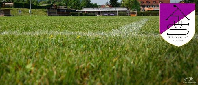 Ein leeres Fußballfeld mit weißen Linien und saftigem grünem Gras. Ein kleines Gebäude befindet sich auf der rechten Seite des Feldes. Ein paar Bäume und Häuser sind in der Ferne.