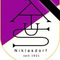Ein Logo für Niklasdorf, das ein Dreieck mit Pfeilen und dem Text Niklasdorf unten mit dem Jahr 1921 zeigt.