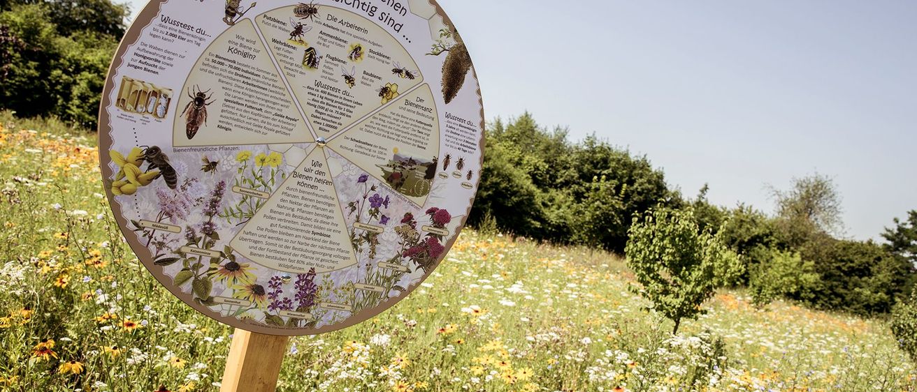 Bild enthält, Field, Grassland, Nature, Outdoors, Herbal, Grass, Park, Vegetation, Meadow, Tree