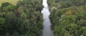 Eine Luftaufnahme eines Flusses, der durch eine üppige, grüne Landschaft fließt. Der Fluss wird von dichten Bäumen gesäumt, und in der Ferne sind landwirtschaftliche Felder zu sehen.