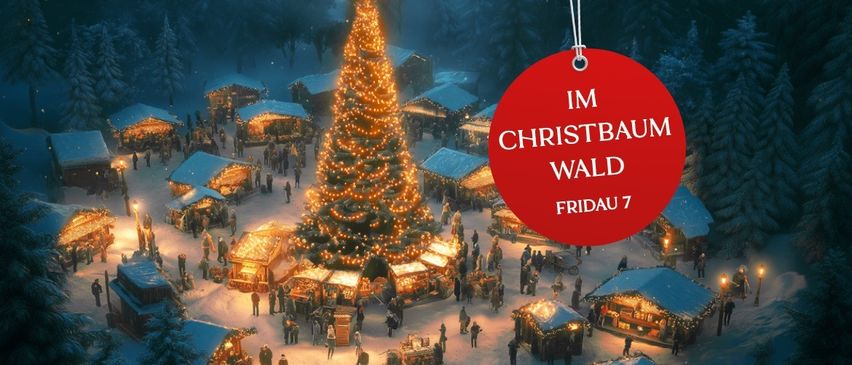 Bild enthält, Christmas, Christmas Decorations, Festival, Person, Christmas Tree, Plant, Tree