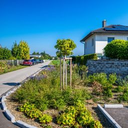 Eine Wohnstraße mit geparkten Autos, ein weißes Haus mit Solarpanelen und ein Garten mit verschiedenen Pflanzen.