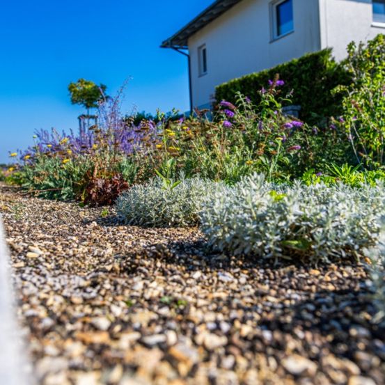 Ein Kiesweg führt zu einem modernen weißen Haus, umgeben von einem Garten mit verschiedenen bunten Blumen und grünen Pflanzen.