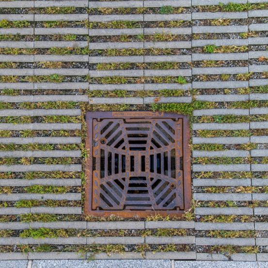 Auf einem Bürgersteig liegt ein verrostetes Metallgitter mit einem spinnenartigen Design eingebettet, umgeben von grünen Grasflecken.