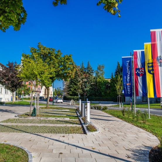 Ein gepflasterter Gehweg unter einem klaren blauen Himmel, mit mehreren Fahnen und Bäumen an der Seite. Die Fahnen sind bunt mit einigen Logos und Texten. Es gibt Autos und Gebäude auf der Straße.