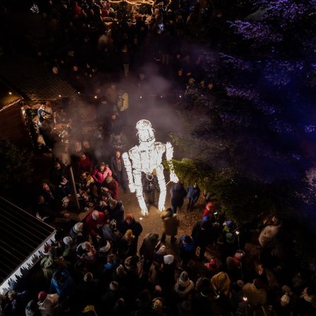 Bild enthält, Concert, Crowd, Person, Urban, Lighting, People, Nature, Night, Outdoors