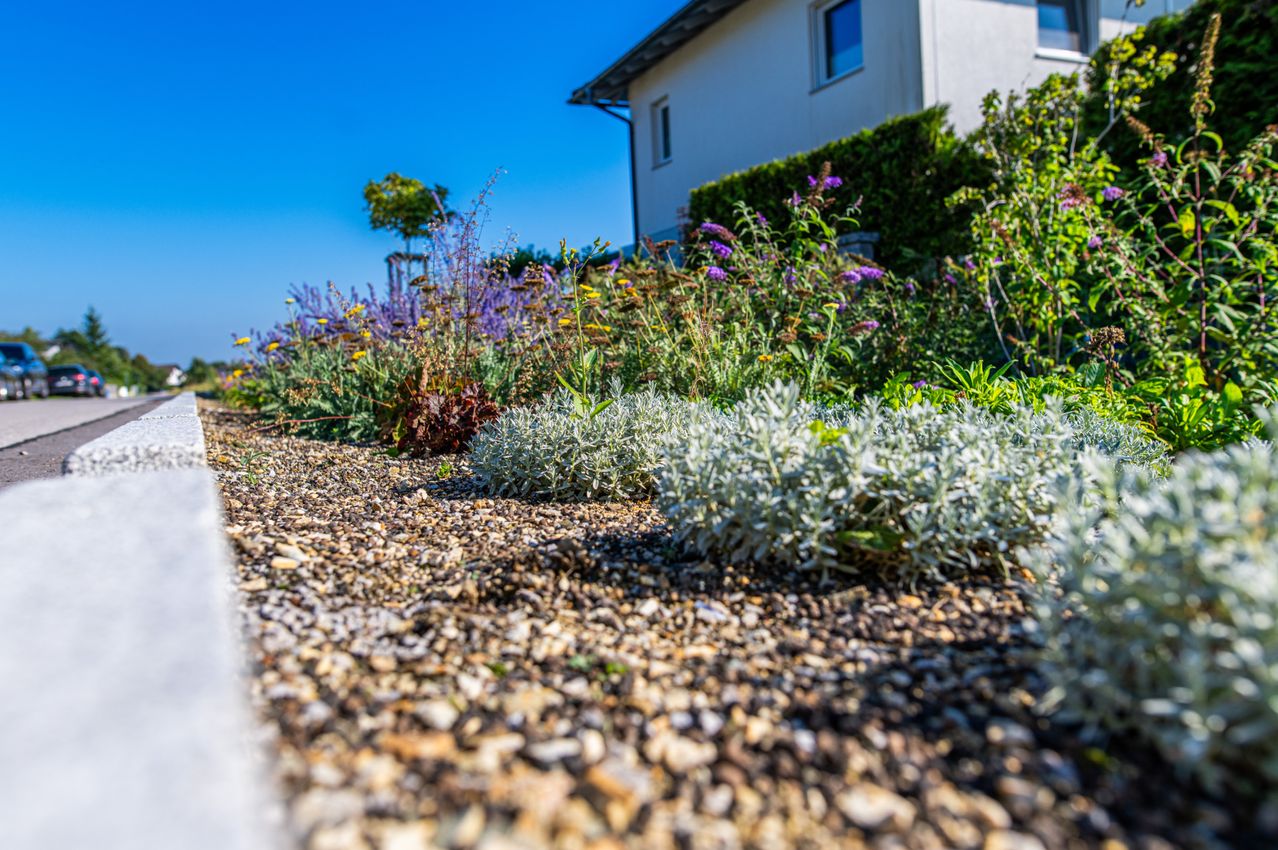 Ein Garten mit verschiedenen Blumen und Pflanzen steht vor einem weißen Haus mit Fenstern und einem Baum.