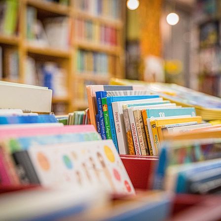 Ein mit verschiedenen bunten Büchern gefüllter Raum in einem roten Korb. Im Hintergrund sind verschwommene Holzregale zu sehen.