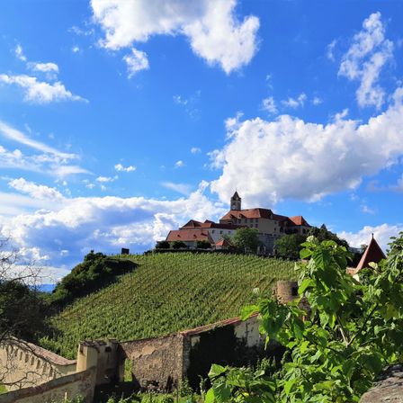Eine Burg auf einem Hügel mit rotem Dach und Turm unter blauem Himmel mit weißen Wolken, mit Blick auf einen Weinberg an einem sonnigen Tag.