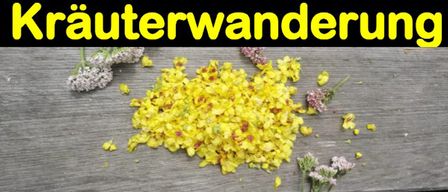 Ein Holztisch ist mit getrockneten gelben Blumen und kleinen Pflanzenteilen übersät, wobei der Text 'Krauterwanderung' in Gelb oben steht.