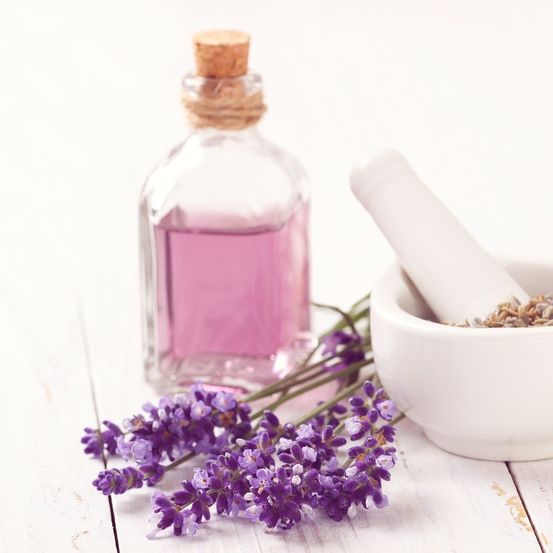 Bild enthält, Herbal, Herbs, Plant, Flower, Lavender, Bottle, Cosmetics, Perfume, Coffee, Coffee Cup