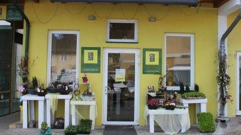 v1_migrated_image_80095108