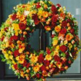 Bild enthält, Wreath, Flower, Plant