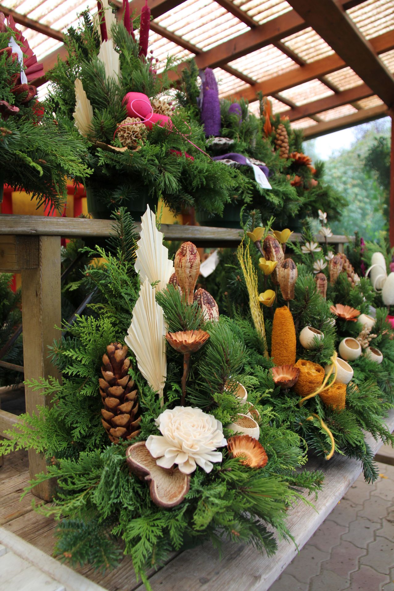 Bild enthält, Flower, Flower Arrangement, Garden, Nature, Outdoors, Flower Bouquet, Rose, Conifer, Tree, Porch