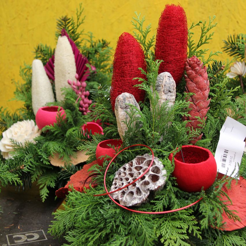 Bild enthält, Flower, Flower Arrangement, Plant, Tree, Conifer, Flower Bouquet, Fir