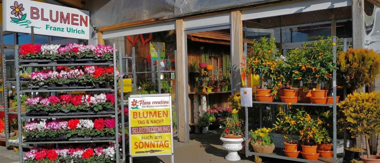 v1_migrated_image_74974990