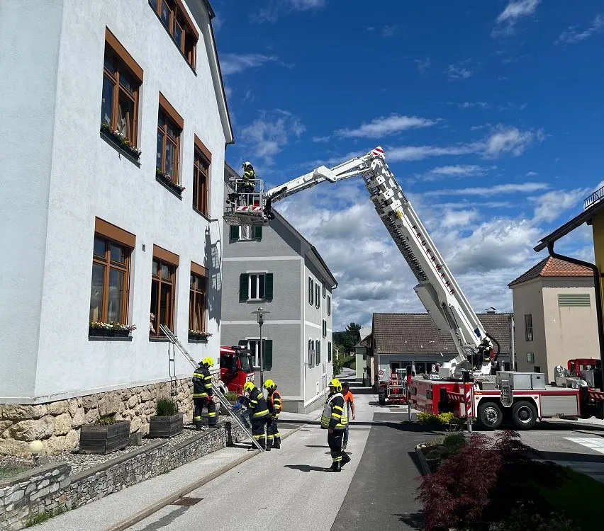 Person, Machine, Wheel, Building, Truck, Vehicle, Fire Truck, Plant
