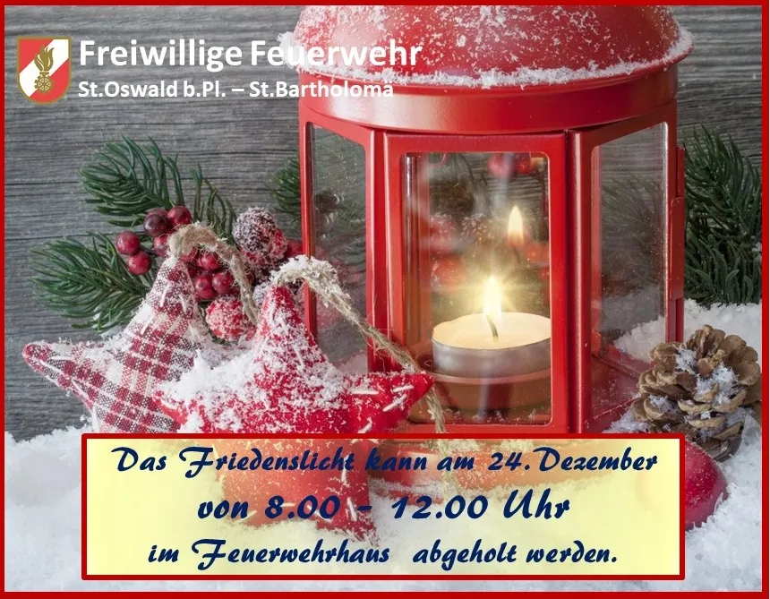 Candle, Plant, Christmas, Christmas Decorations, Festival