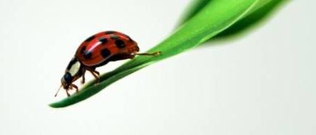 v1_migrated_image_71395495