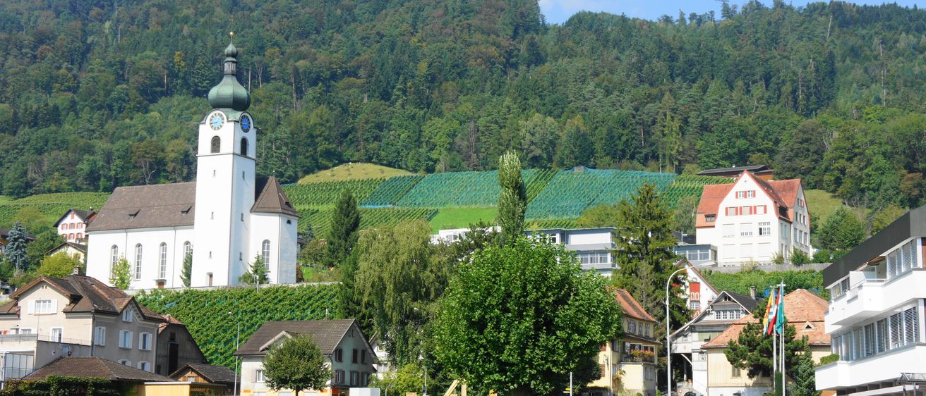 Ein Dorf mit Häusern und einem Glockenturm liegt in einem Tal, umgeben von üppigen grünen Hügeln und Wäldern unter einem blauen Himmel mit Wolken.