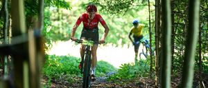 Bild enthält, Helmet, Bicycle, Vehicle, Cycling, Person, Vegetation, Boy, Child, Male, Shoe