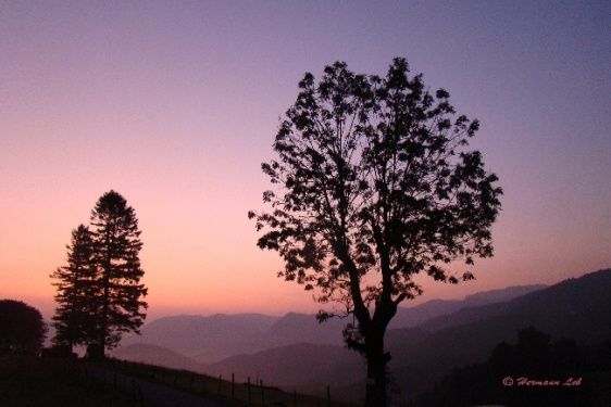 Eine Silhouette von Bäumen bei Sonnenuntergang mit Bergen im Hintergrund. Der Himmel ist pink und lila.