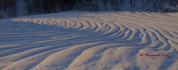Ein schneebedecktes Feld mit windgeformten Mustern auf der Oberfläche, umgeben von Bäumen und einem Wasserzeichen von Hermann Lieb.