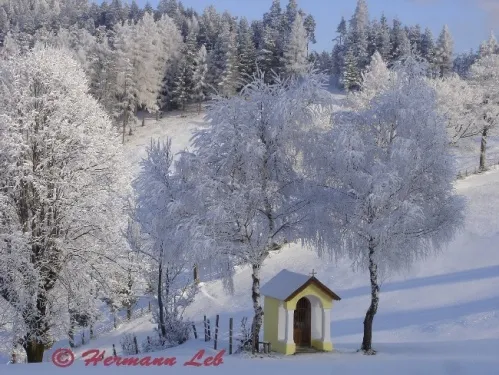 Schneebedeckte Landschaft mit Bäumen und einer kleinen Kapelle auf einem Hügel mit Blick auf den Wald und die Berge.
