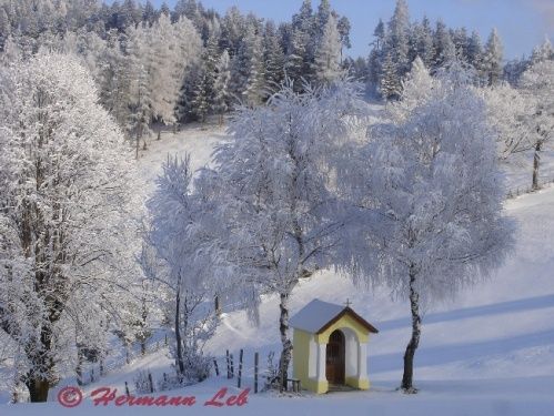 Schneebedeckte Landschaft mit Bäumen und einer kleinen Kapelle auf einem Hügel mit Blick auf den Wald und die Berge.