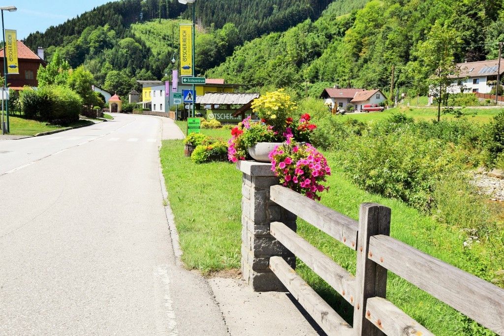 Ein malerischer Blick auf eine ländliche Straße mit einem mit leuchtenden Blumen geschmückten Holzzaun, vor dem Hintergrund von üppigem Grün und entfernten Häusern.