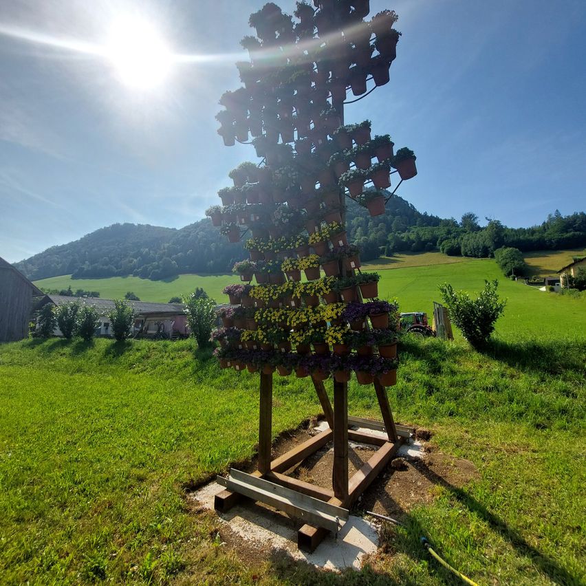 Bild enthält, Grass, Nature, Outdoors, Sky, Park, Scenery, Tree, Shelter, Sunlight, Landscape