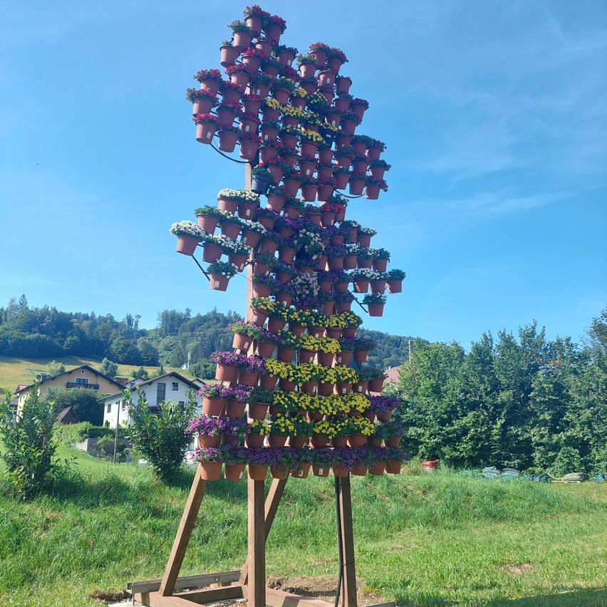 Bild enthält, Tree, Grass, Nature, Outdoors, Park, Wood, Christmas Decorations, Festival, Conifer, Pine