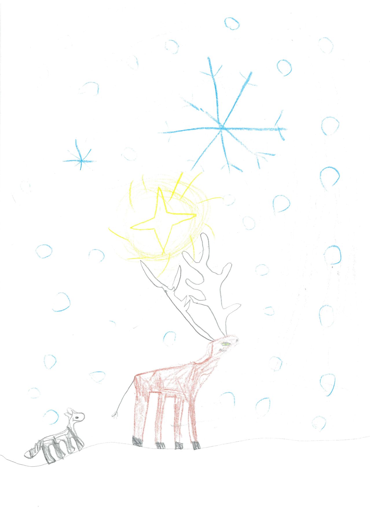 Eine Zeichnung eines Rentiers im Schnee, mit einem Stern darüber, umgeben von Schneeflocken. Ein kleineres Tier ist ebenfalls vorhanden.