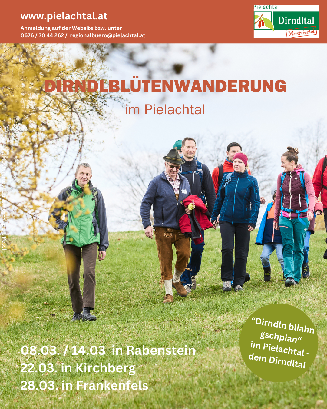 Ein Bild von Wanderern, die in einer Gruppe durch ein Tal mit Frühlingsblüten wandern. Der rote Text lautet 'DIRNDLBLUETENWANDERUNG im PIELATHAL'. Die Daten 08.03. / 14.03 in Rabenstein und 22.03 in Kirchberg sind unten angezeigt.