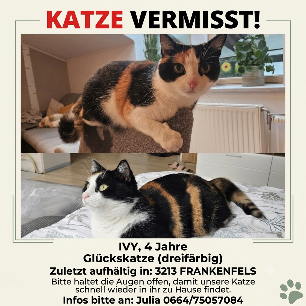 Plakat mit zwei Katzen, eine sitzt auf einem Stuhl und die andere liegt auf einem Bett. Das Plakat hat einen Wasserzeichen mit dem Text 'KATZE VERMISST!' und einer Telefonnummer. Die Katzen schauen in verschiedene Richtungen. Der Hintergrund zeigt ein Fenster mit einer Pflanze und einem Heizkörper.