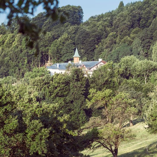 Bild enthält, Building, Spire, Tree, Fir, Monastery, Vegetation, Nature, Outdoors, Woodland, Scenery
