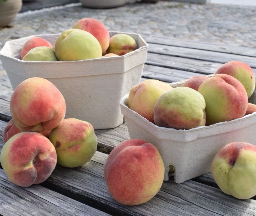 Zwei weiße Behälter mit reifen Pfirsichen stehen auf einem Holztisch. Die Pfirsiche sind in verschiedenen Reifestadien, einige mit einem grünen Farbton.