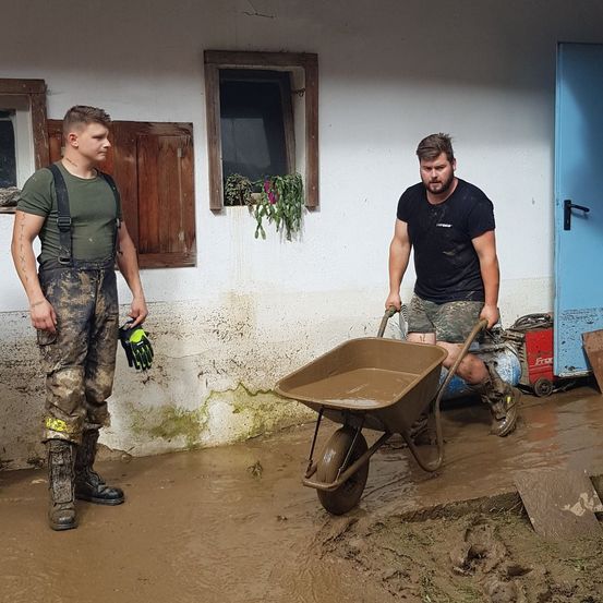 Adult, Male, Man, Person, Boy, Teen, Shovel, Tool, Home Damage, Face