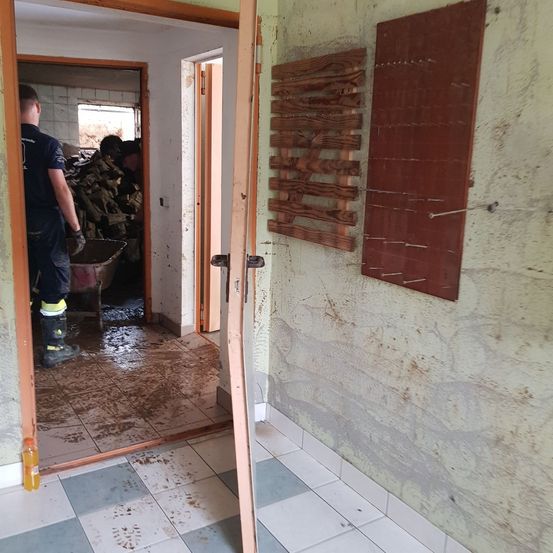 Adult, Male, Man, Person, Home Renovation Work, Clothing, Glove, Floor, Footwear, Shoe