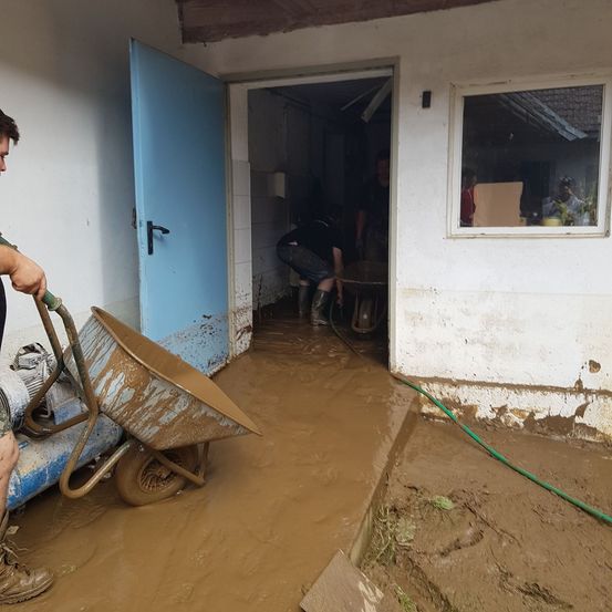 Home Damage, Adult, Male, Man, Person, Building Flooding, Machine, Wheel
