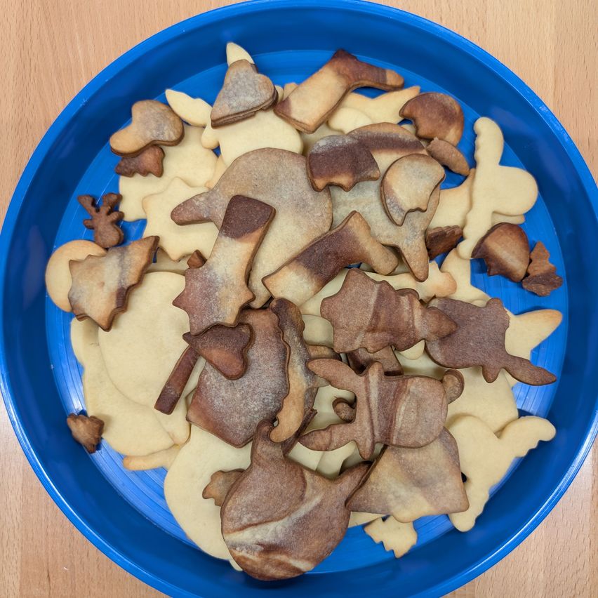 Ein blauer Teller gefüllt mit einer Vielzahl von kunstvoll gestalteten Keksen, einschließlich Tier-, Baum- und Sternenformen, alle leicht um die Ränder herum angebrannt.