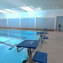 Ein Hallenbad mit blauen Kacheln, Bänken und einer Pflanze in einem Topf auf der rechten Seite. Die Decke hat Lichter und ein Belüftungssystem.